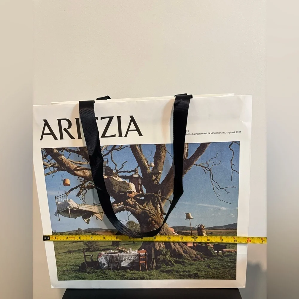Aritzia shopping gift bag